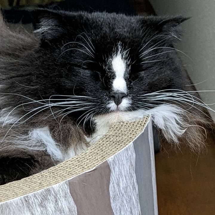 11b38f07 3452 4a26 82aa 395a968a3b76 1666532175564