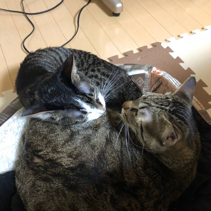 11b39340 99c1 4cd0 af6b 5c452f60d18f 1515420503850