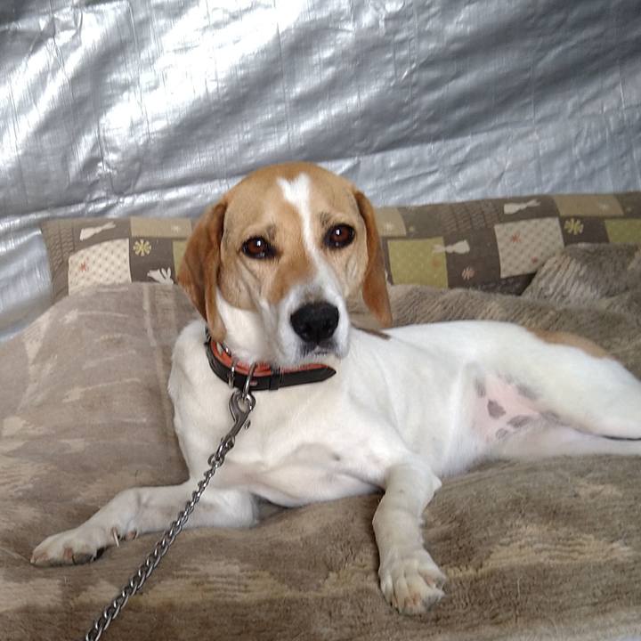 11b3bbbb ed82 40f7 9f90 43f6cd0ebdaa 1625025506395