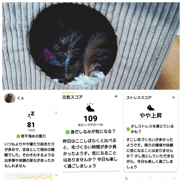 11b3c6ed 28fe 40b5 8376 2680f7189ac0 1780796726949