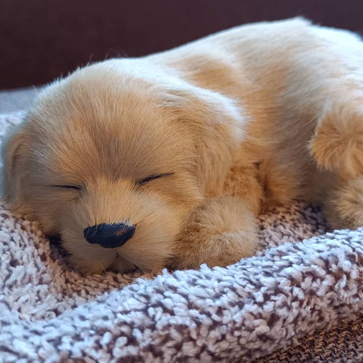 11b3ebef 5fd4 4a1e 841c 73be450bcf71 1760666050737