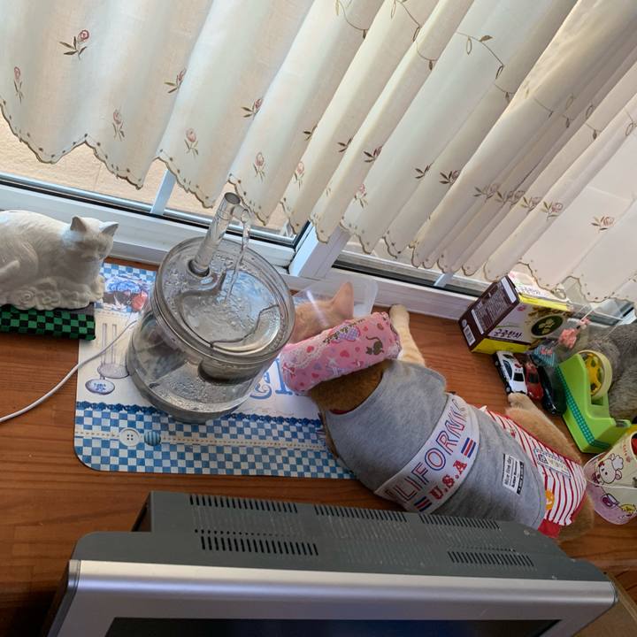 11b3f703 42ac 4f63 8347 68ad58a0d966 1627595288330