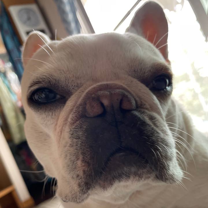 11b3f9e2 1033 426e 89f9 f93d03ae151a 1752633095486