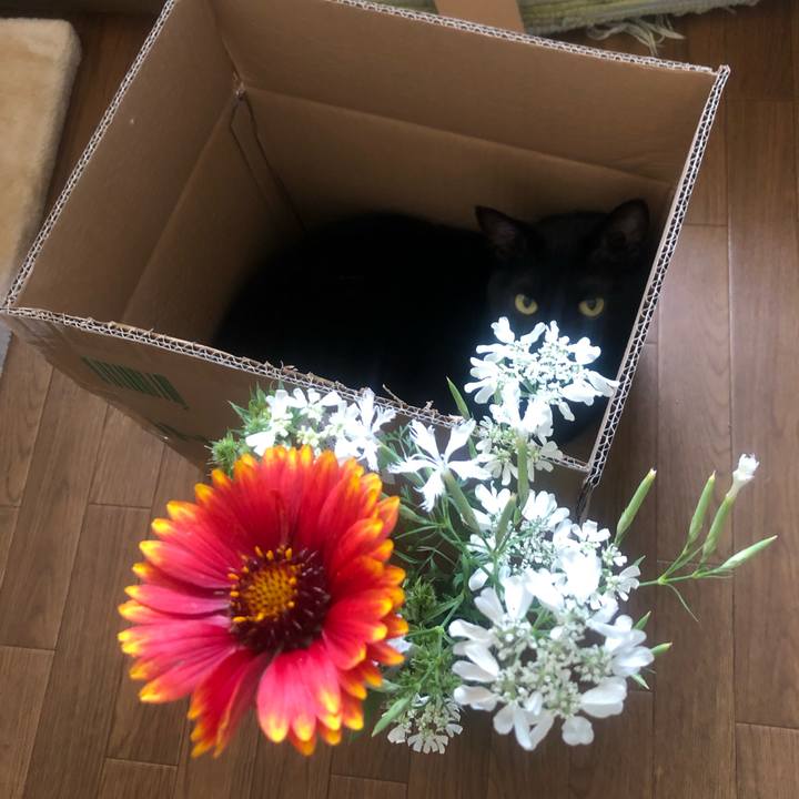 11b3fb12 9f9b 48b7 8cc5 00cbdcf749e2 1653789292775