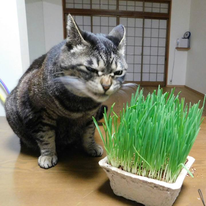 11b406dd 52f7 4c73 ac0e 92fee7bf711f 1558184174842