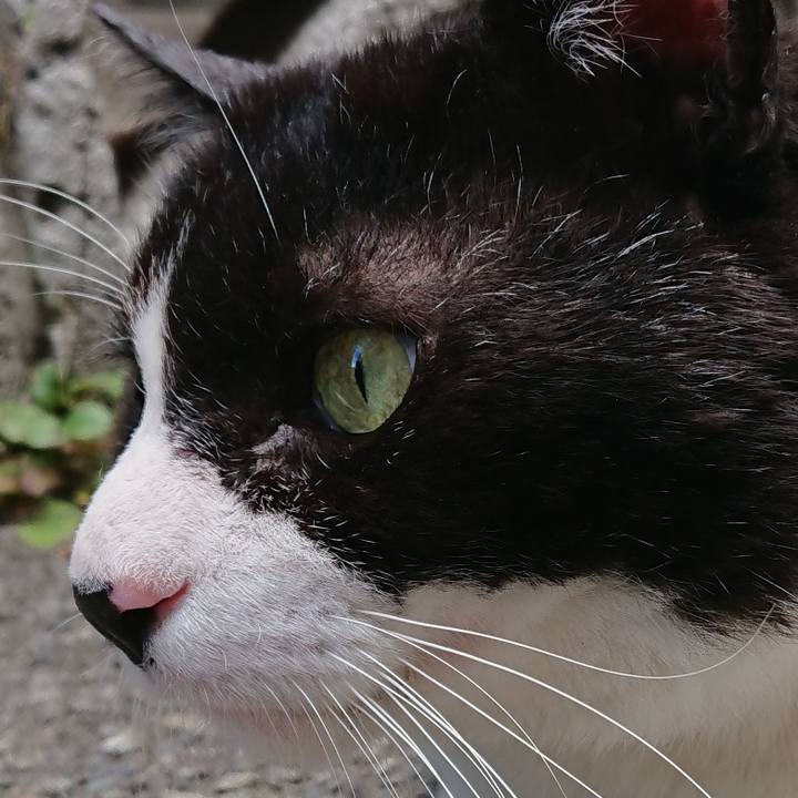 11b4083e 32f6 4184 be54 2171a954f2c4 1561134726949