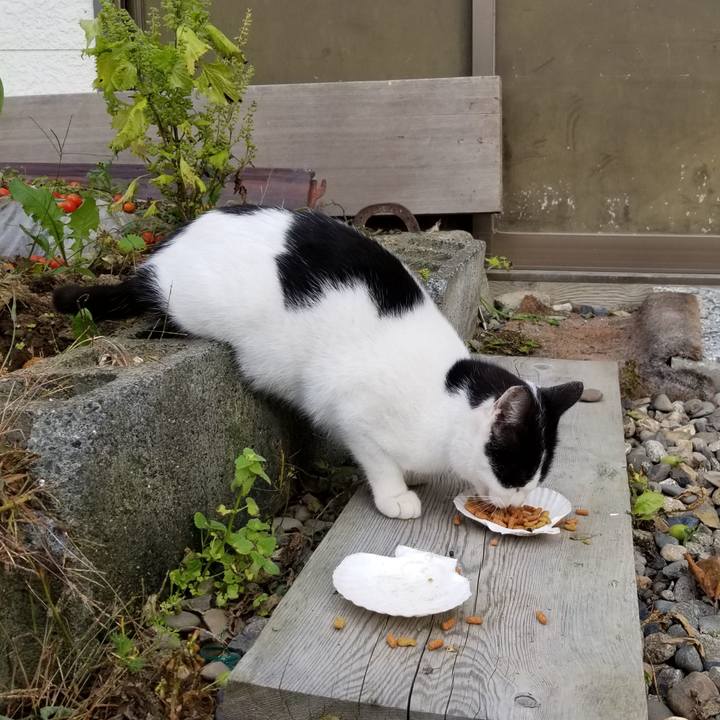 11b41744 3aed 473c 8090 fbfd5da704b5 1570750741908