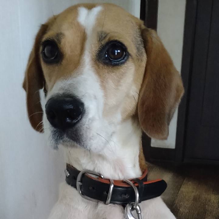 11b42e13 c05a 476f b2e2 db22d259d634 1650721696595