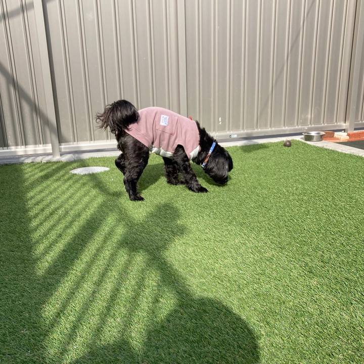 11b430e7 fddc 4ef4 b1d0 53a8ca1d6f96 1678676489110