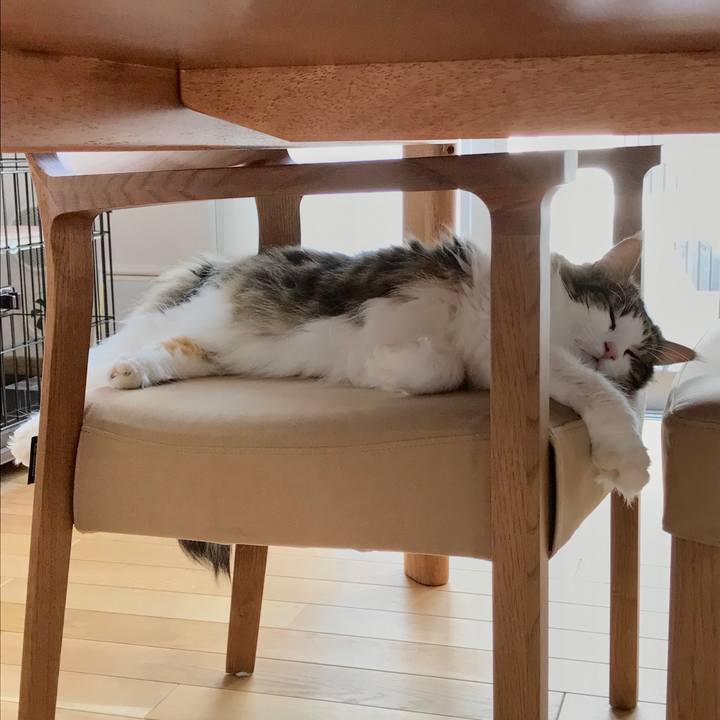 11b443df 395a 45d8 abbe 77e2cd783a22 1531789649343