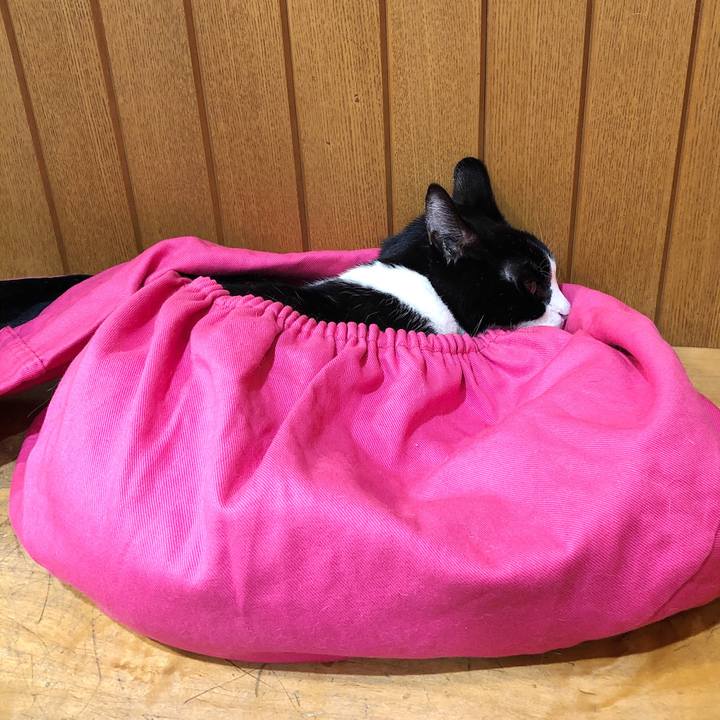 11b45947 6c4d 4812 ac86 cc642ec8f677 1575284043786