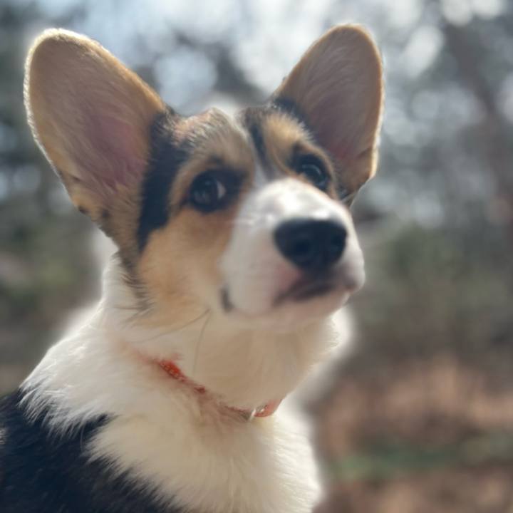 11b4a429 72d0 499a b1e3 7765c651938e 1774187200159