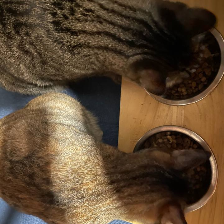 11b4b80f 715e 478e 98a0 7f620a0b712d 1757130802295