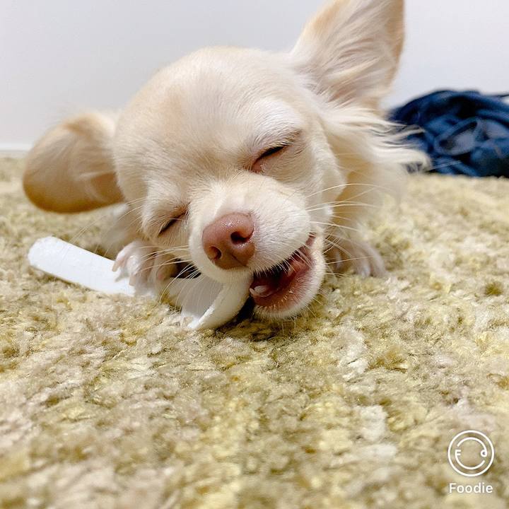 11b5034e 27c1 4b29 b17b a7912e510a3c 1603186398645