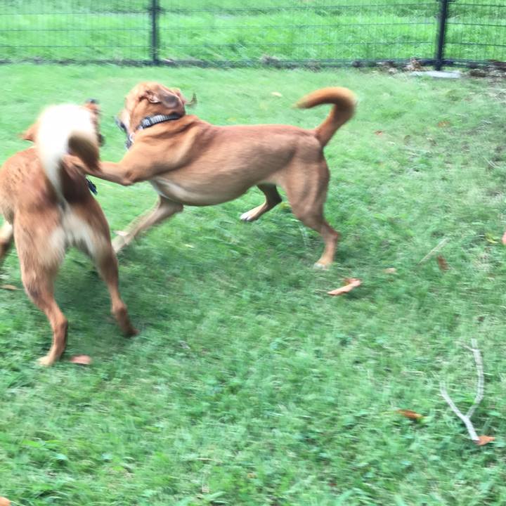 11b55856 4bb0 4375 a652 30f1b2c72267 1535453871677