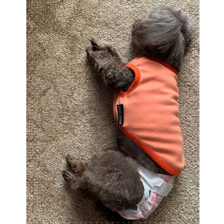 11b58e10 0d6e 4d68 b069 65bda4021852 1577431360175