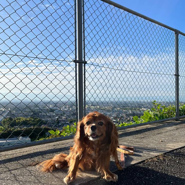 11b5b012 2bb5 47d6 860d 66ccfe488c76 1695509255431