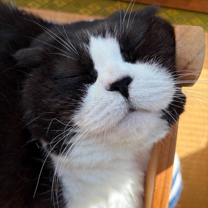 11b5cf8b 2d70 4714 b296 dc7bf6961fc7 1768798031639