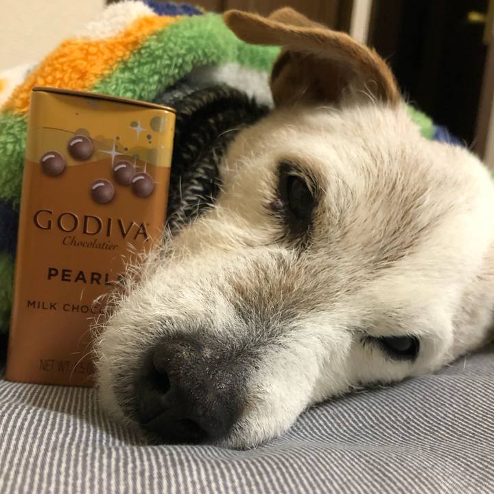 11b5d1db 5b07 4327 972c 9a92b8ab66c2 1644829919190