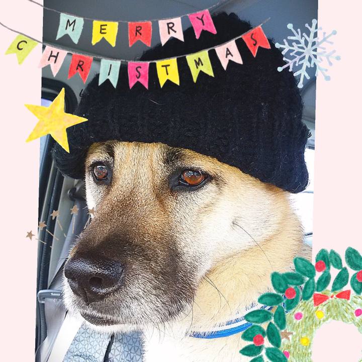 11b5e582 6d06 4545 8eac 393b0c38599b 1577191245124