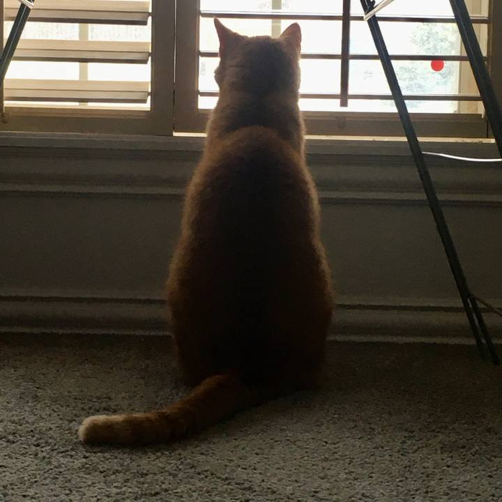 11b5e866 5dfe 4f10 85b2 a66a5925657c 1694048003027