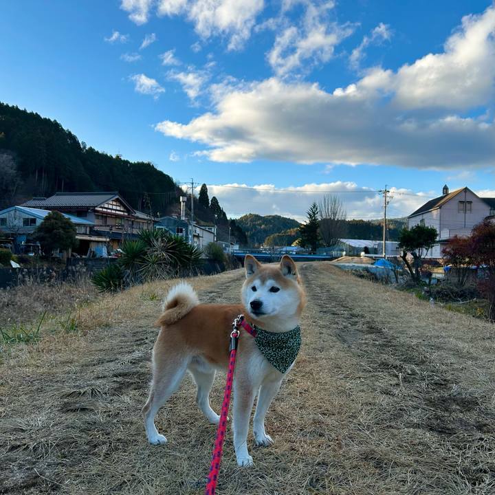 11b6175d 6c47 40e5 9213 758a1b99f61a 1706257337276