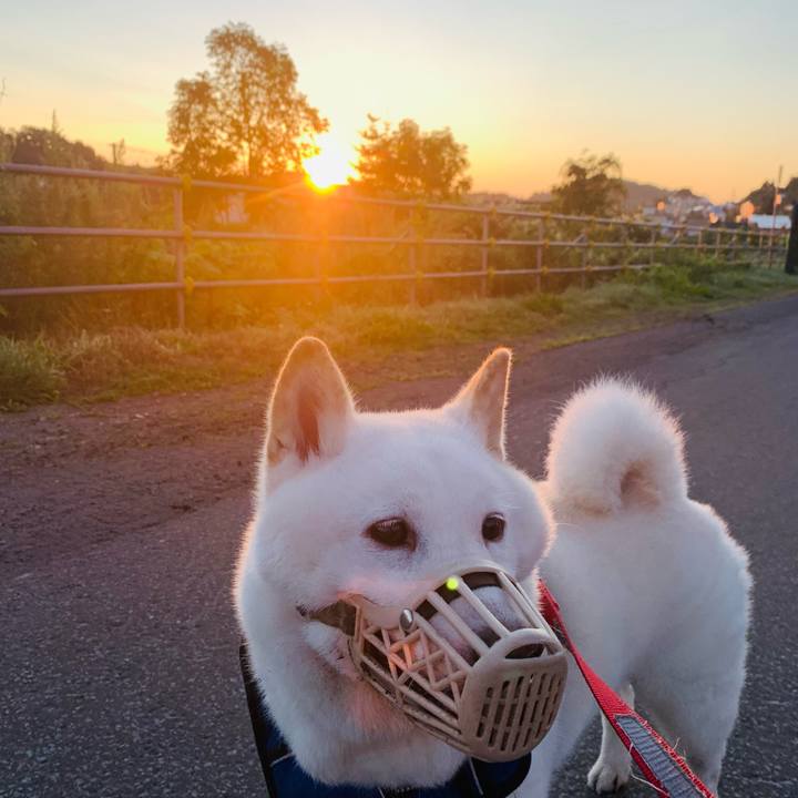 11b6344c 2b35 412d 9be2 3ec51b5a846c 1630615468391