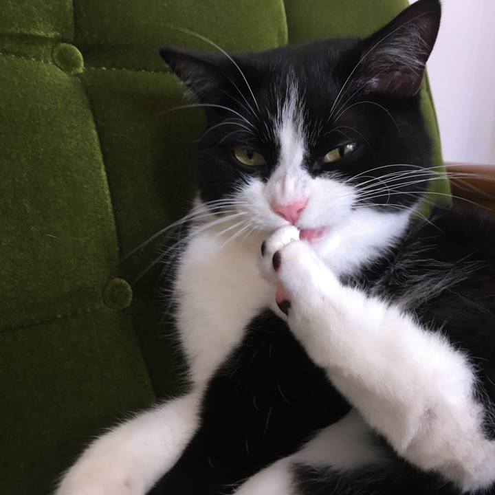 11b6b0cc 3502 40f6 94b5 fcfa5f7269a0 1634448167810