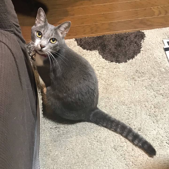 11b6b1e0 0ee4 49ef b90b 501593ca6948 1556631674115