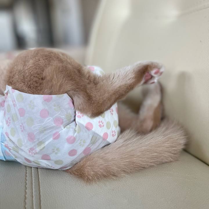 11b6eb3e 8b30 4ad8 9495 30719f5fe2d9 1658734216240