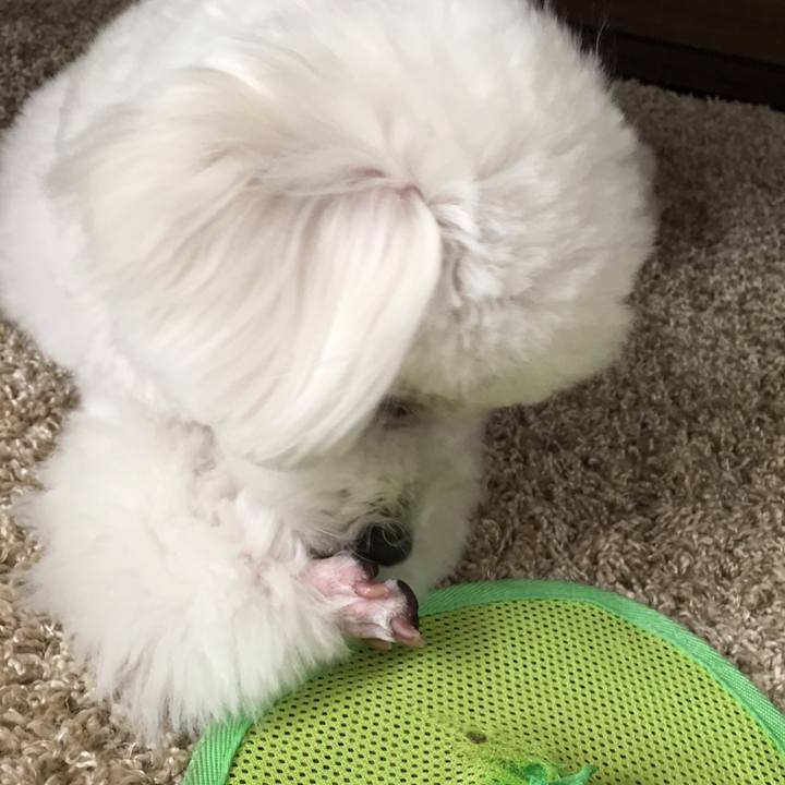 11b6f8b2 3fcc 4b6b 8d87 49f46c772c04 1512687048535