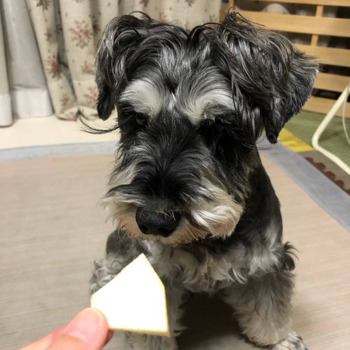 11b70a07 6931 4385 8f3c 1f7d1231eab7 1633435818741