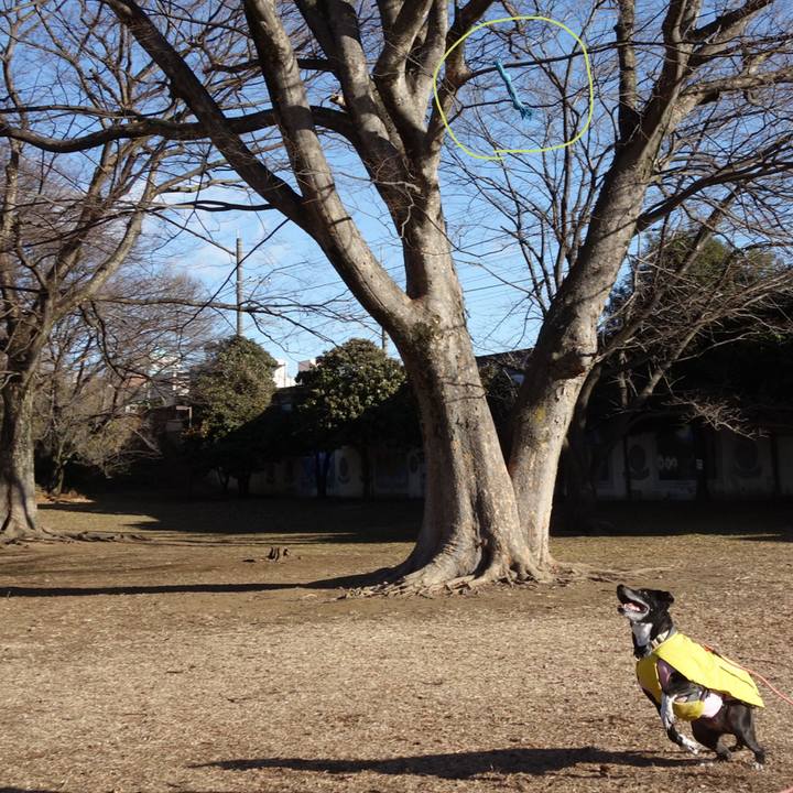 11b735f5 ec42 4ed1 ad81 ede8a9f7606b 1739412595494