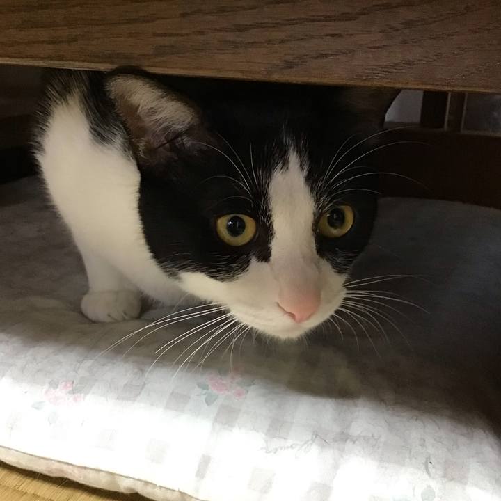 11b73b8d c386 4c7e 85e2 14ee2d58ce4a 1653114059622