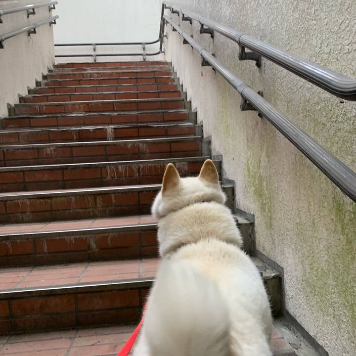 11b74fb0 c45a 4100 83e7 c2cdb946e37a 1557531462510