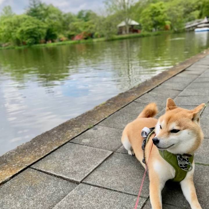 11b757b7 7dc3 4c73 91c2 444e40d363ce 1653431944593