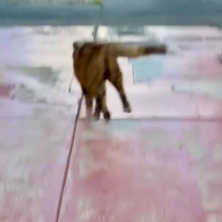 11b77448 9055 4038 a3d2 e05d77d1e9d1 1768741760026