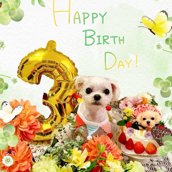 11b77925 3127 4bd2 9b3d 24164e24103f 1714280788435