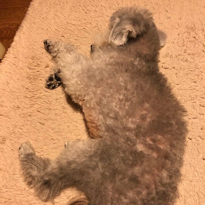 11b7882b 6e95 4a6f a595 a59043f2924b 1611396564353