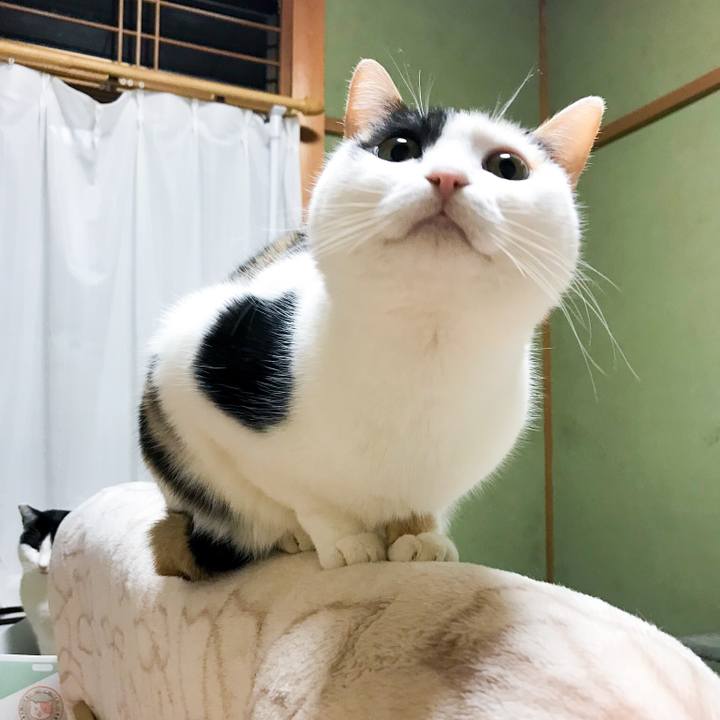 11b78f81 e4ef 4fff afd5 70af51c61123 1519051725584