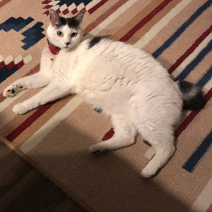 11b79724 dca5 4f86 9448 2fbc8530645d 1527168784590