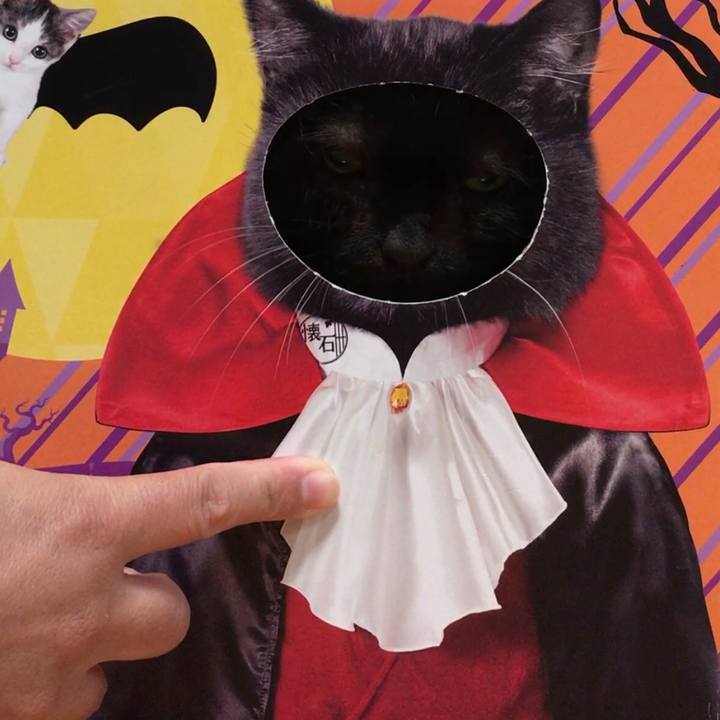 11b797ad d598 419e 889a 6422ff376cce 1572486696386