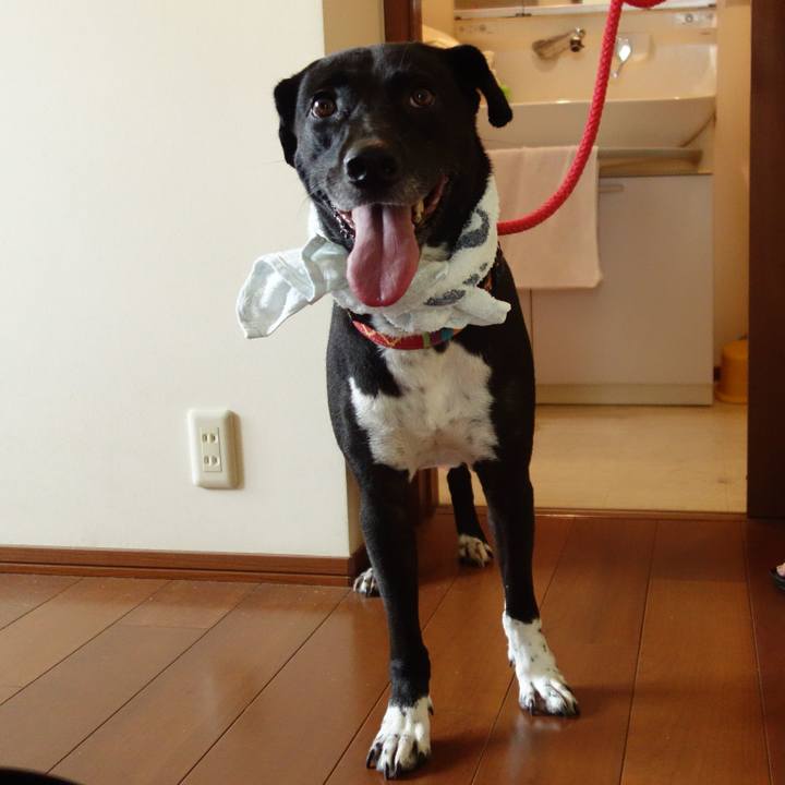 11b7e076 2360 4def a77e 6d7c72242b31 1624022923515