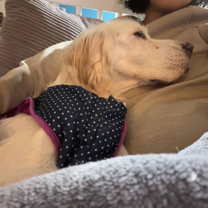 11b7e74d f06a 4a59 841d 7d4716843bb2 1764490748144