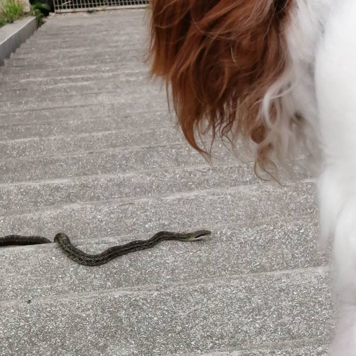 11b7ebef 00c9 41d6 9db9 88a9605d5f27 1623481319755