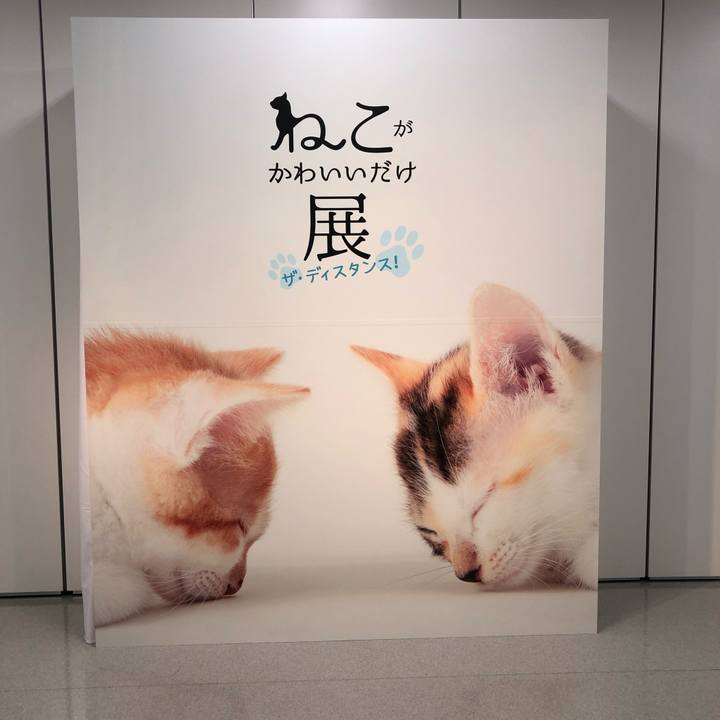 11b7f7f6 2443 4ac1 aca4 f67d7ef3d9fa 1596866932922