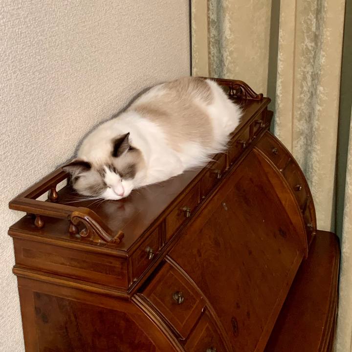 11b7fd5b ffae 491f a190 1be758dbe695 1633654976775