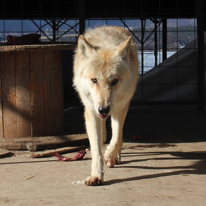 11b80d1a 4402 46c5 8a3b bf2bf7b931be 1550285589791