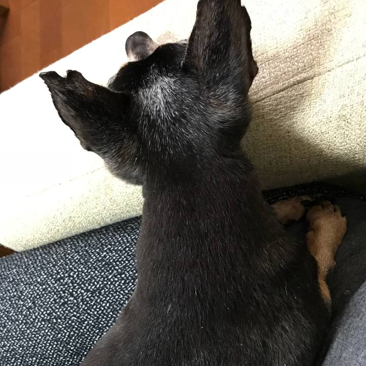 11b81755 e110 4646 abc0 62289a85d485 1557036199568