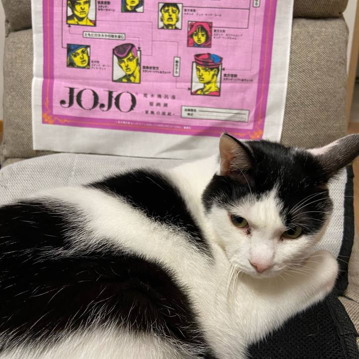 11b82d44 b89a 4096 bd24 084d48fdb2a3 1583235244650